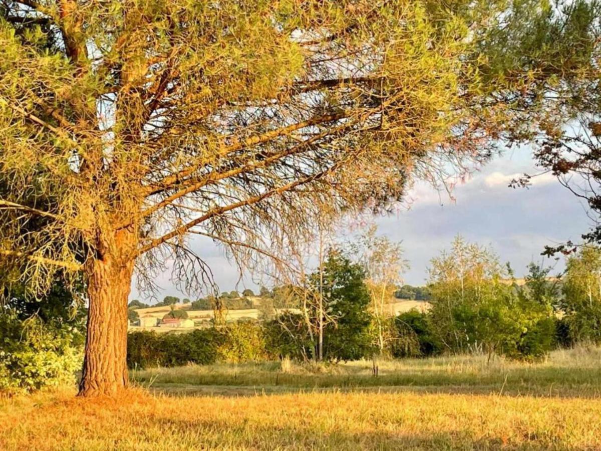 Le Parc De Gouts Villa Aiguillon Eksteriør bilde