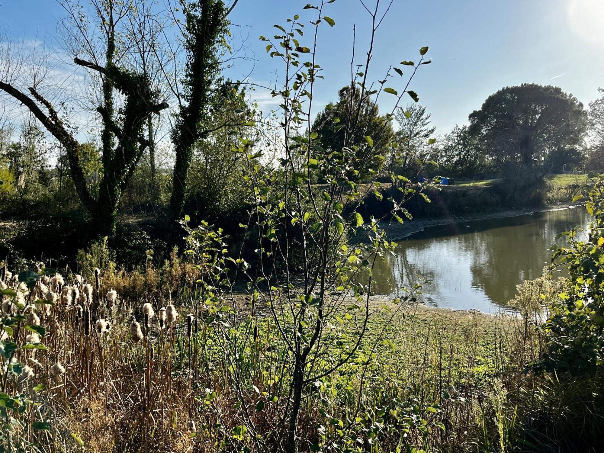 Le Parc De Gouts Villa Aiguillon Eksteriør bilde