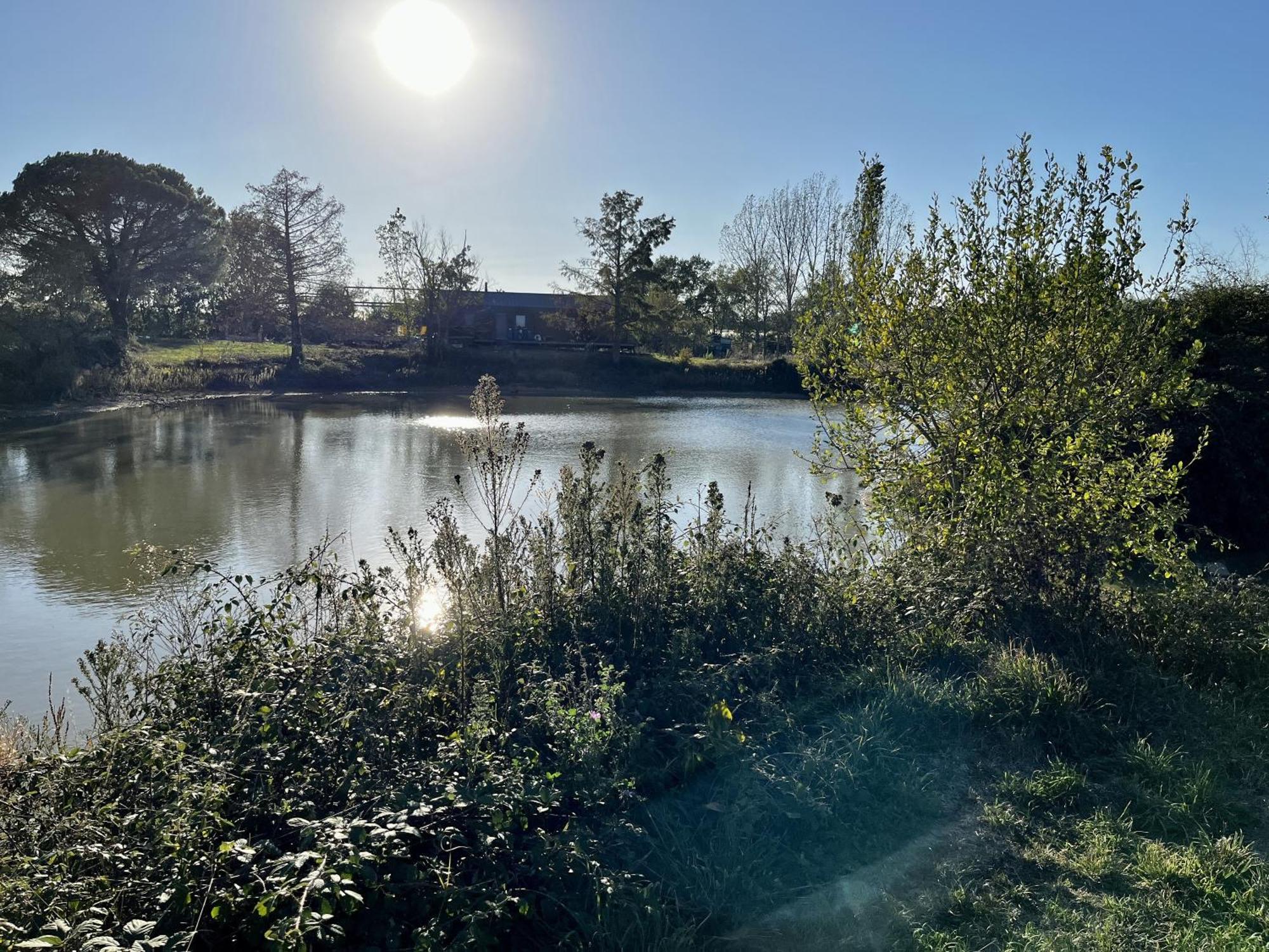 Le Parc De Gouts Villa Aiguillon Eksteriør bilde